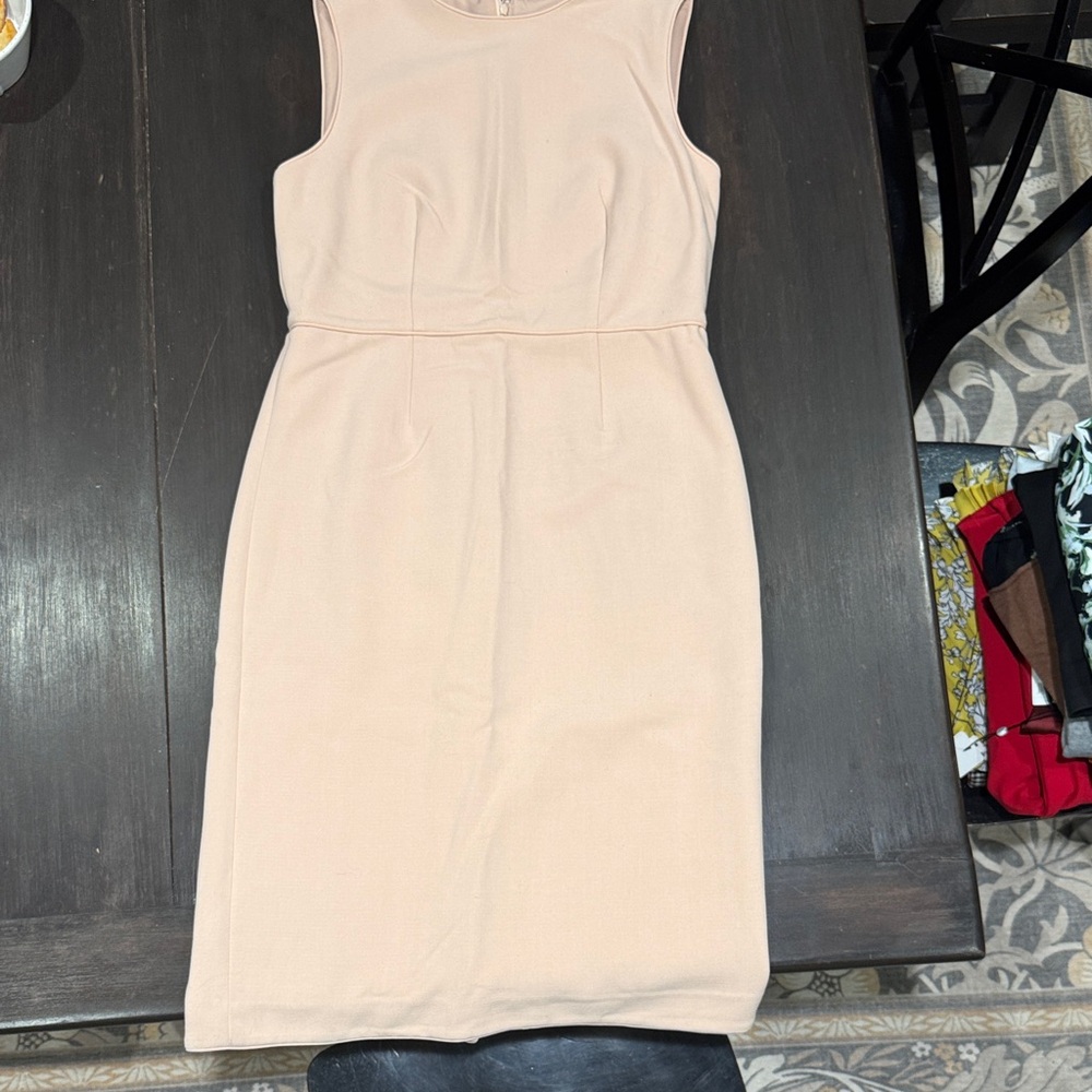 Ann Taylor Blush Sleeveless Mini Dress